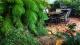 Barbecue Area
 - Kookaburra Motor Lodge