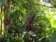 Gardens
 - Koompartoo Retreat