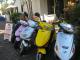Scooter Hire at Nautilus
 - Nautilus Noosa