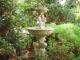 Lovely cottage gardens
 - Noble Grape B and B
