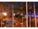 tropical garden
 - Ocean Paradise Motel & Holiday Units