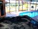 Heated Pool,Spa and Sauna
 - Mantra Bathurst