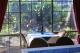 resaurant
 - Riverview Motor Inn
