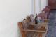 relax
 - Riverview Motor Inn