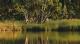 Murray River Scene
 - Riverview Rise Retreat