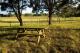 Picnic table under the trees
 - Talga Estate