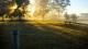 Morning sun
 - Talga Estate