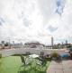 Rooftop Terrace
 - Sydney Wattle Hotel