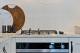 Adam Street Maitland - Kitchen
 - Accommodation Hunter Adams Street Maitland