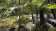 Mossman
 - Active Cape Tribulation Day Tour ex Port Douglas Cairns Adventure Group - Daintree Rainforest Tours