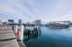 Darling Harbour
 - Adina Apartment Hotel Sydney Darling Harbour