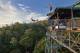 Cairns Tours, Cruises, Sightseeing and Touring - Bungy Jump