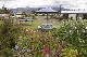 Anchorage Motel Apartments - Photo 5