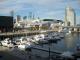 Docklands Apartments Melbourne
 - Apartments Melbourne Domain - Docklands