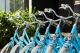 Bikes
 - The Johnson Brisbane - Art Series