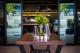 Tumbling Stone
 - The Johnson Brisbane - Art Series