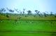 Bird and wildlife abound
 - Ash's Holiday Units