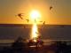 Famous and fabulous Karumba sunsets
 - Ash's Holiday Units