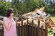 Guest Feeding Giraffe - 2 Day Wild Pass - Family: 2 Adults and 2 Children Australia Zoo
