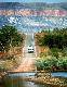 The Kimberleys Tours, Cruises, Sightseeing and Touring - Broome Town Afternoon Tour (Half Day)