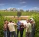 Melbourne City and Surrounds Tours, Cruises, Sightseeing and Touring - Full Day Private Wine Explorer 1-6 Guests - PWEYV