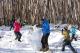 Lake Mountain Snow Tours - Pinnacles Lobster & Yanchep Day Tour Autopia Tours