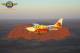 Central Australia Tours, Cruises, Sightseeing and Touring - Lizard Safari - ROA-A