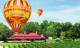 Balloon and O'Reilly's Vineyard  - Private Hot Air Balloon ex Gold Coast - private Driver/trnsf Hot Air Balloon Gold Coast