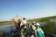 Boat Rides
 - Bamurru Plains