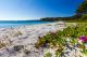Collingwood Beach - Vincentia, Jervis Bay
 - Bay and Bush Cottages Jervis Bay