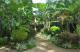 Balinese Garden
 - Bay Village Tropical Retreat and Apartments