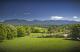 our views  - Bellingen Valley Lodge