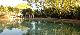 Applegum Inn - Photo 4