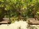LEMON TREES 1
 - Best Western Northbridge Apartments