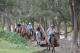 Horse riding for everyone
 - Bestbrook Mountain Resort Farm Stay