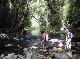 
 - Binna Burra Mountain Lodge