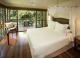 Rainforest Room
 - Bloomfield Lodge