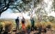 QLD Country Tours, Cruises, Sightseeing and Touring - Lost World Carnarvons (Wallaroo) Day Tour - Senior - BBE-LWC