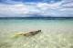 Snorkelling  - Bounty Island Resort