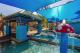 Childrens Pool
 - BreakFree Diamond Beach Broadbeach
