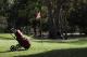 Golf
 - Rainbow Beach Resort