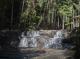 Bellthorpe Rainforest Tours
 - Bellthorpe Rainforest Tour Brisbane Nature Tours