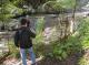Bellthorpe Rainforest Tours
 - Bellthorpe Rainforest Tour Brisbane Nature Tours