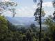 Bellthorpe Rainforest Tours
 - Bellthorpe Rainforest Tour Brisbane Nature Tours