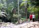 Maiala Rainforest Tour
 - Bellthorpe Rainforest Tour Brisbane Nature Tours