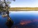 North Stradbroke Island Tour
 - Bellthorpe Rainforest Tour Brisbane Nature Tours
