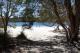 North Stradbroke Island Tour
 - Bellthorpe Rainforest Tour Brisbane Nature Tours