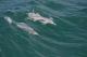 North Stradbroke Island Tour
 - Bellthorpe Rainforest Tour Brisbane Nature Tours