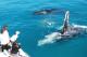 The Kimberleys Tours, Cruises, Sightseeing and Touring - Broome Sunset Cruise