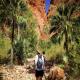 Echidna Chasm Guided Walk
 - Private Cathedral Gorge & Domes Guided Walk Bungle Bungle Guided Tours